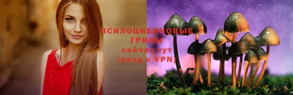 соль ск Балабаново