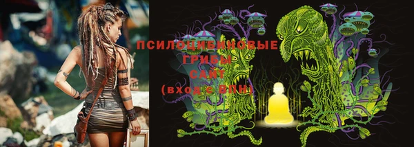 каннабис Белокуриха