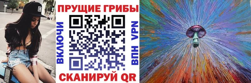 Галлюциногенные грибы Psilocybine cubensis  Киров 